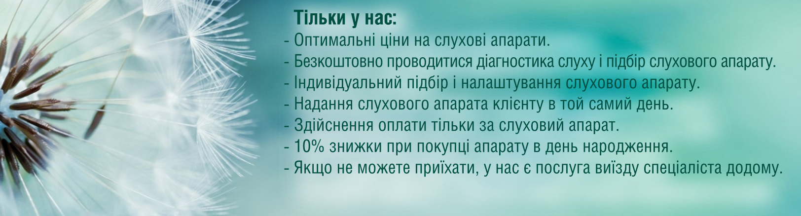 Описание картинки