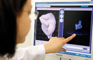 Описание картинки